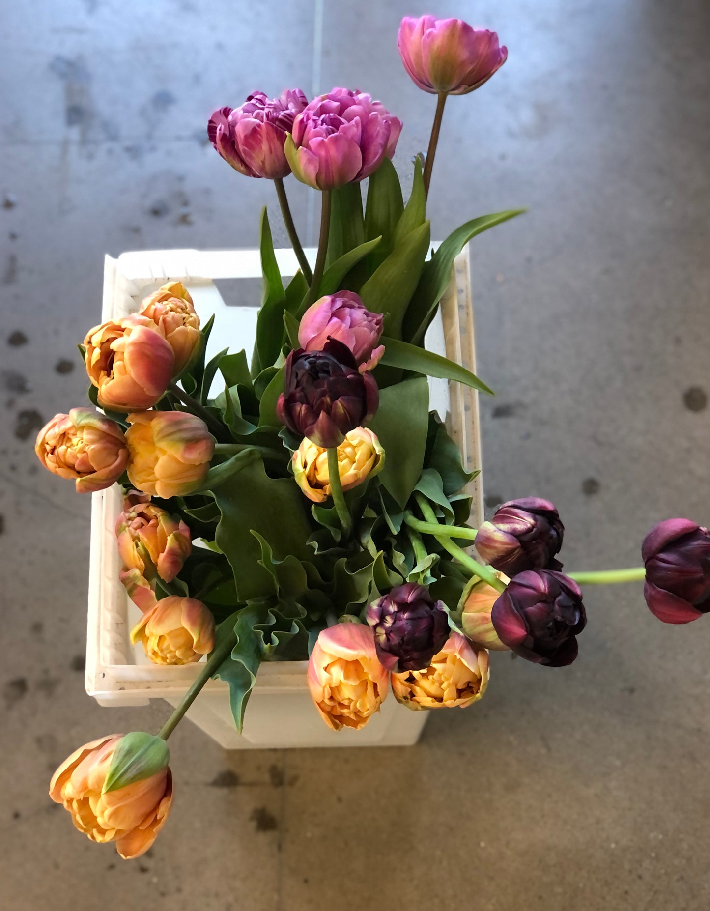 A Bucket Of Flowers To Arrange At Home