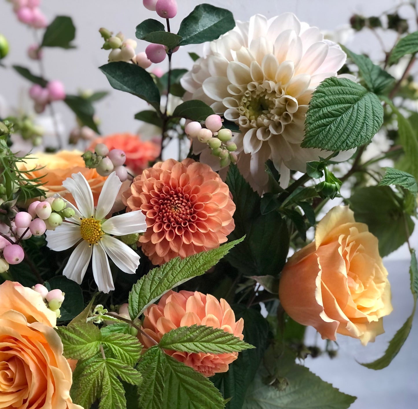 Dahlia Class Saturday August 16th 11.30am-1pm