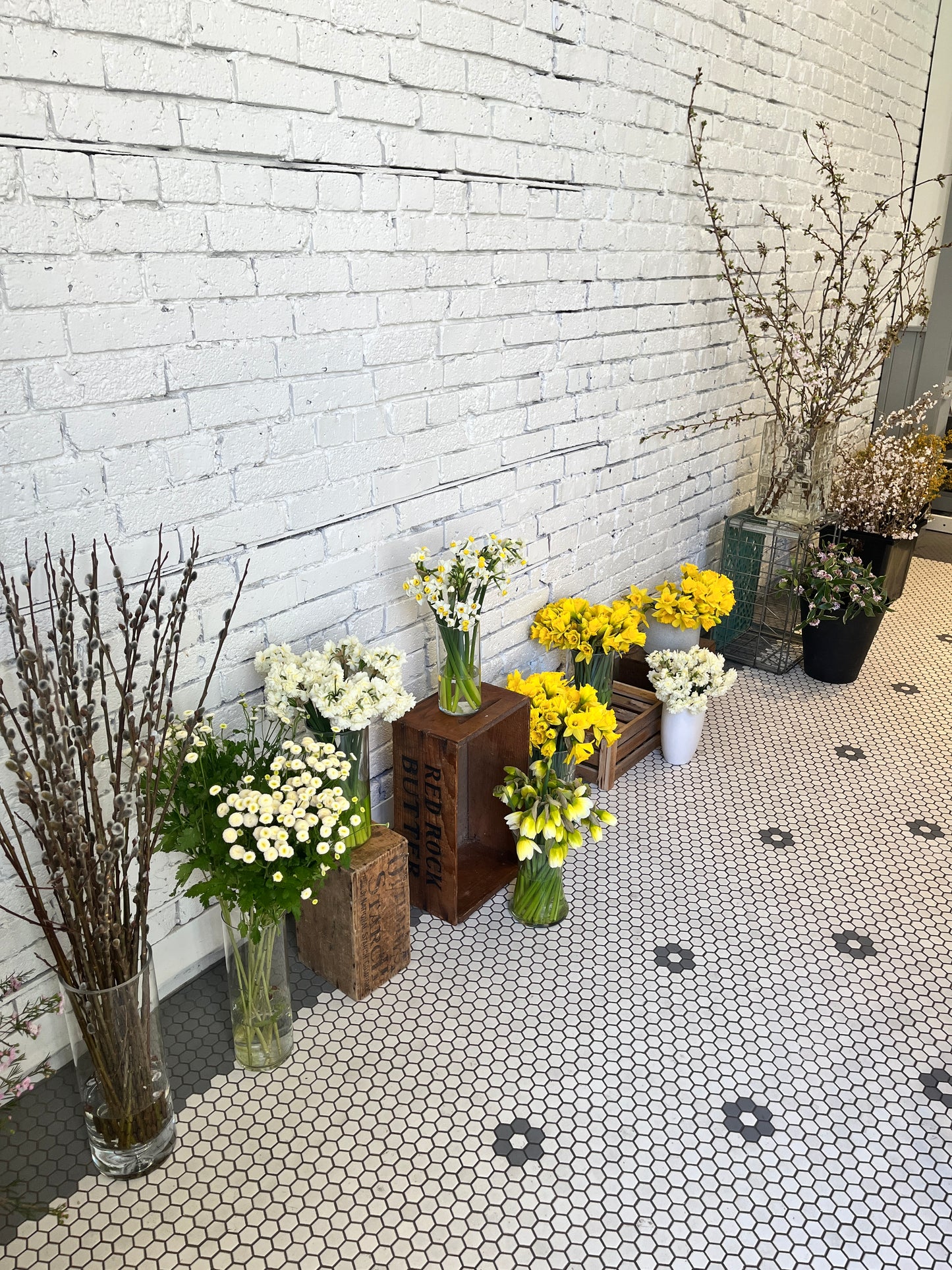 Spring Seasonal Arrangement Class with Blossoming Branches Saturday March 15h 11.30 - 1 pm