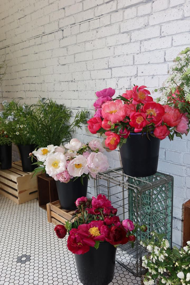 Peony Class, Saturday June 7th  11.30-1.30pm